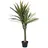 Europalms Dracena, Kunstpflanze, 120cm