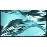 Dell Pro P2426HWO 24"