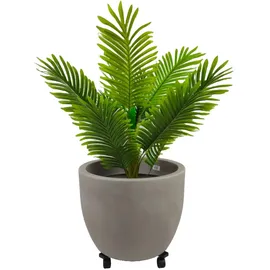 Tecnokit Pflanzenroller Ø 40 cm