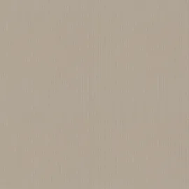 Neutex for you! Ösenschal Intense 146 x 245 cm Polyester Beige Leinen