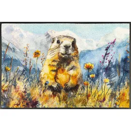 Wash+Dry Leander 50 x 75 cm Blau