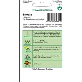 Samen Pfann Freilandtomate Hildares F1 | Buschtomatensamen von Samen Pfann