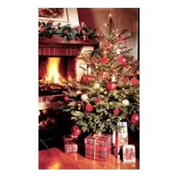 Weihnachtskarte ohne Text CLW-525   Bild