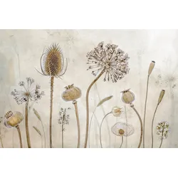 Fototapete PAPERMOON "Photo-Art MANDY DISHER, ALT WERDEN", bunt, B:5,00m L:2,80m, Vlies, Tapeten