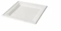 Greenbox Teller, Zuckerrohr, quadratisch, weiß DTW08714 , 1 Karton = 10 Packungen à 50 Stück, Maße (L x B): 20 x 20 cm