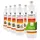 Höfer Chemie Bioethanol 96,6% Premium 1 l 15 St.
