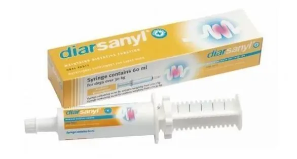 Diarsanyl Orale Paste großer Hund Spritze