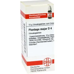 Plantago Major D 4 10 G