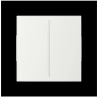 Busch-Jaeger Abdeckung, 2fach LFW/A.2.55.11-914