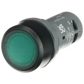 ABB Leuchtdrucktaster CP1-11G-10