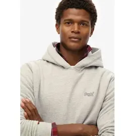 Superdry Hoodie Logo Grau 3XL