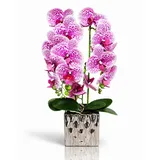 Kunstorchidee PASCH® Orchidee künstlich wie echt in Hochglanz-Keramiktopf Orchidee, PASCH, Hochglanz Keramiktopf