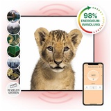 Klarstein Wonderwall Air Art Smart Infrarotheizung mit Thermostat, 350W Elektroheizung, Home Bild-Infrarotheizung zur Wandmontage, IR mit IoT/WiFi App-Control, Feucht... - Bunt