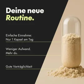 Serotalin Active Balance Zen Mood Kapseln 60 St.