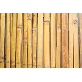 Proregal Sichtschutzmatte 200 x 500 cm Braun Bambus
