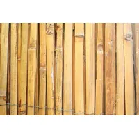 Proregal Sichtschutzmatte 200 x 500 cm Braun Bambus