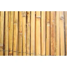 Proregal Sichtschutzmatte 200 x 500 cm Braun Bambus
