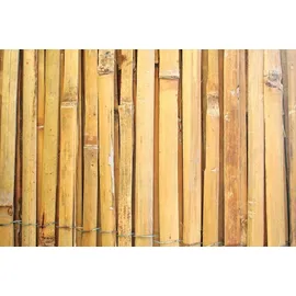 Proregal Sichtschutzmatte 200 x 500 cm Braun Bambus
