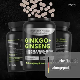 Exvital Ginkgo + Ginseng Tabletten 365 St.