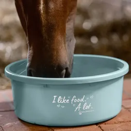 Waldhausen XL Futterschale 8L mit Deckel, türkis,