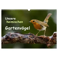 Calvendo Unsere heimischen Gartenvögel (Wandkalender 2026 DIN A3 quer),