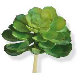 Kunstpflanze Echeveria 17 cm Kunststoff Grün