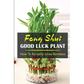 Feng Shui Good Luck Plant: How To Actually Grow Bamboo