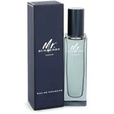 Burberry Mr. Burberry Indigo Eau de Toilette