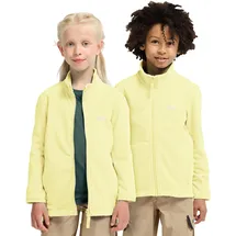 Jack Wolfskin Taunus 100 Fleecejacke Gelb 152