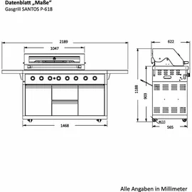 SANTOS P-618 Edelstahl