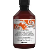 Davines Naturaltech Energizing Shampoo 250 ml Nicht-professionell Frauen