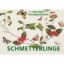 Anaconda Postkarten-Set Schmetterlinge