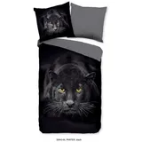 Muller Textil Pure Renforcé Bettwäsche Panter Schwarz 135 x 200 cm + 80 x 80 cm