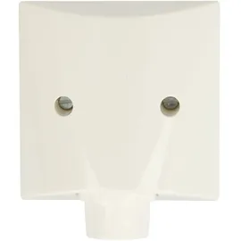 Busch-Jaeger Zentralscheibe aws für Leitungsauslass 2133-34