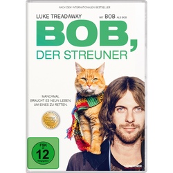 Bob  Der Streuner (DVD)