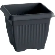 Prosperplast TERRA 37 x 37 x 30 cm Anthrazit