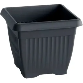 Prosperplast TERRA 37 x 37 x 30 cm Anthrazit