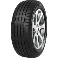 MINERVA F209 205/55 R16 91H