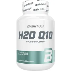 H2O Q10