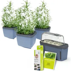 Gusta Garden Stadtkräutergarten-Set 6-teilig, blau