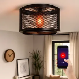 Nino Leuchten Smart LED Deckenleuchte dimmbar Deckenlampe Wohnzimmerleuchte schwarz gold Retrolampe Esstischleuchte, Rgb Farbwechsel App-und Sprachsteuerung, 10w 806lm warmweiß-kaltweiß, Dxh 40x34 cm