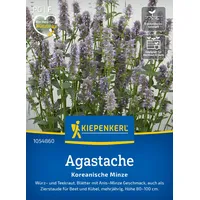 Kiepenkerl Agastache Koreanische Minze 1054860 - Würz- und Teekraut - Anis- Minze Geschmack - Zierstaude - Pflanzen Samen, Saatgut, Kräutersamen