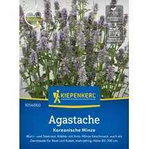 Kiepenkerl Agastache Koreanische Minze 1054860 - Würz- und Teekraut - Anis- Minze Geschmack - Zierstaude - Pflanzen Samen, Saatgut, Kräutersamen