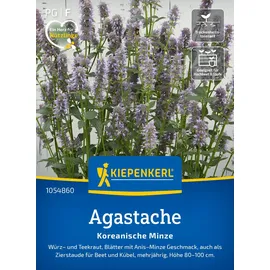 Kiepenkerl Agastache Koreanische Minze 1054860 - Würz- und Teekraut - Anis- Minze Geschmack - Zierstaude - Pflanzen Samen, Saatgut, Kräutersamen