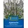 Kiepenkerl Agastache Koreanische Minze 1054860 - Würz- und Teekraut - Anis- Minze Geschmack - Zierstaude - Pflanzen Samen, Saatgut, Kräutersamen