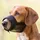Trixie Maulkorb mit Netzeinsatz,