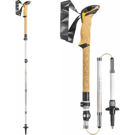 Leki Cressida FX Carbon AS 100-120 cm white-mango-silver