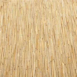 casa.pro Schilfzaun 160 x 300 cm Beige/Natur