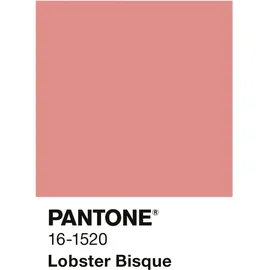 Alpina Wandfarbe Lobster Bisque 2,5 l