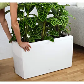 LECHUZA Cararo Komplettset 75 x 30 x 43 cm weiß hochglanz